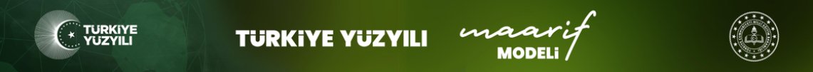 TÜRKİYE YÜZYILI MAARİF MODELİ